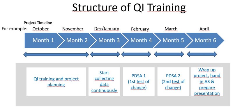Structure of QI Training