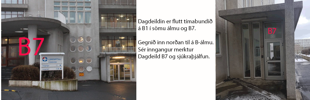 Banner mynd fyrir  Dagdeild B7