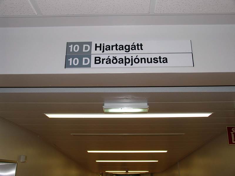 Ráðin deildarstjóri Hjartagáttar