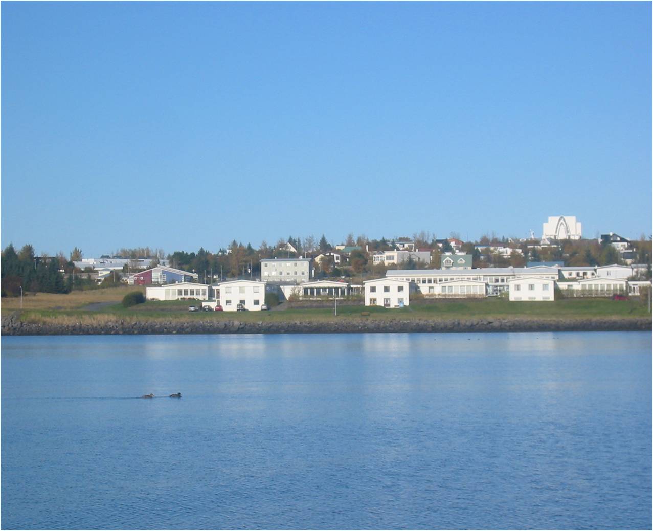 Banner mynd fyrir Líknardeild