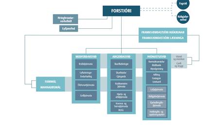 Forstodumenn-radnir-a-ellefu-thjonustukjarna-Landspitala