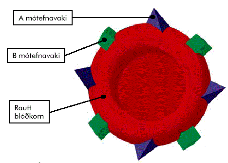 Blóðbankinn - Blóðsöfnunarferð til Grindavíkur þriðjudaginn 13. mars