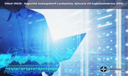 Gagnvirkt-innkaupakerfi-Landspitala-Thjonusta-vid-hugbunadarthroun-DPS