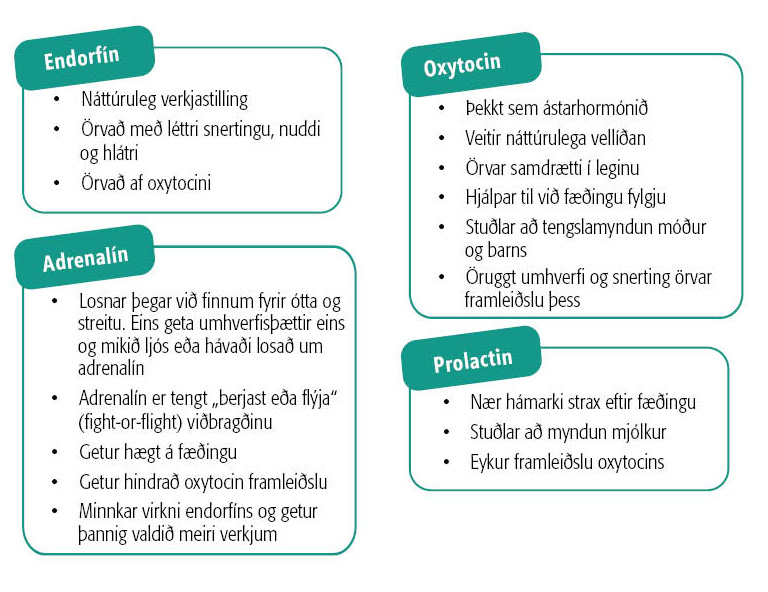 Endorfín  Náttúruleg verkjastilling Örvað með léttri snertingu, nuddi og hlátri Örvað af oxytocini Oxytocin  Þekkt sem ástarhormónið Veitir náttúrulega vellíðan Örvar samdrætti í leginu Hjálpar til við fæðingu fylgju Stuðlar að tengslamyndun móður og barns. Öruggt umhverfi og snerting örvar framleiðslu þess Adrenalín  Losnar þegar við finnum fyrir ótta og streitu. Eins geta umhverfisþættir eins og mikið ljós eða hávaði losað um adrenalín. Adrenalín er tengt „berjast eða flýja“(fight-or-flight) viðbragðinu Getur hægt á fæðingu Getur hindrað oxytocin framleiðslu Minnkar virkni endorfíns og getur þannig valdið meiri verkjum Prolactin  Nær hámarki strax eftir fæðingu Stuðlar að myndun mjólkur Eykur framleiðslu oxytocins